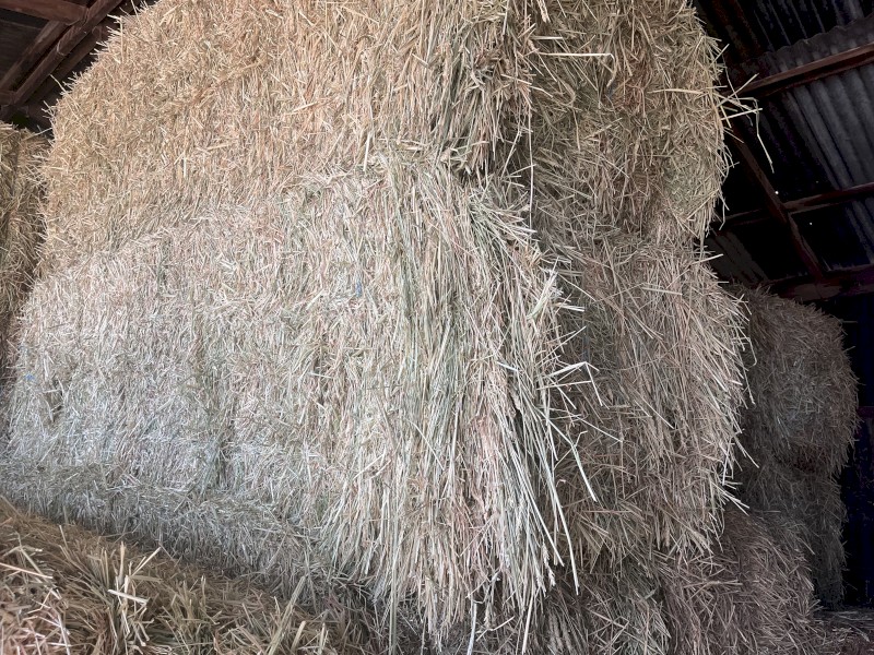 29mt Wheaten Hay 8x4x3 Bales