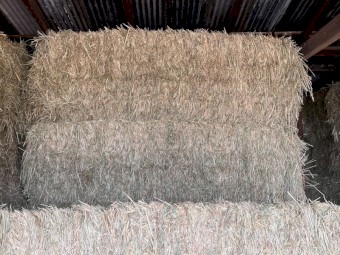 29mt Wheaten Hay 8x4x3 Bales