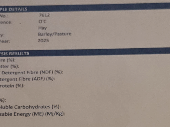 Good Quality 8x4x3 bales Mixed Hay