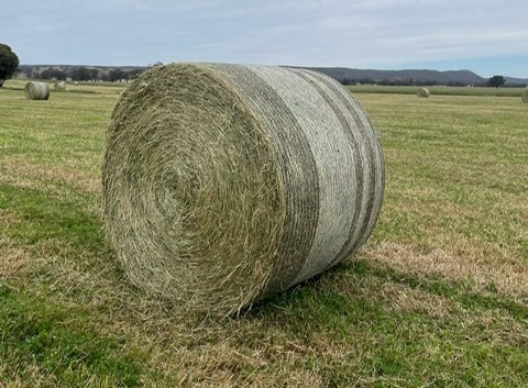 Round Rolls 5x4 Rye/Clover Hay 