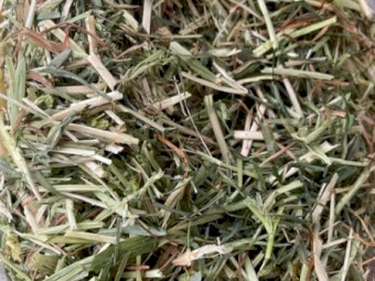 Round Rolls 5x4 Rye/Clover Hay 