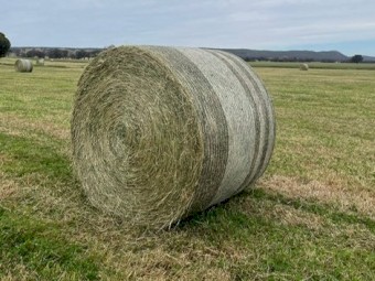Round Rolls 5x4 Rye/Clover Hay 
