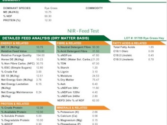 Round Rolls 5x4 Rye/Clover Hay 