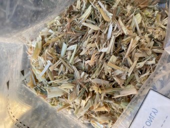 Wheaten Hay 5x4 Round Rolls