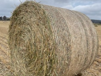 Wheaten Hay 5x4 Round Rolls