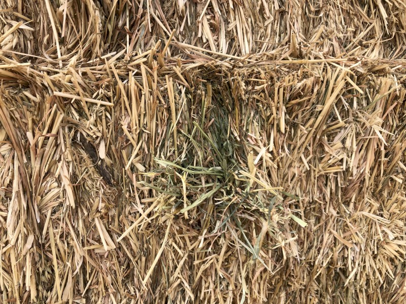 140mt Oaten Hay 600-650kg 8x4x3 Bales