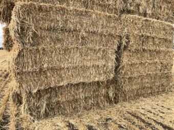 140mt Oaten Hay 600-650kg 8x4x3 Bales