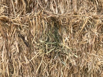 140mt Oaten Hay 600-650kg 8x4x3 Bales