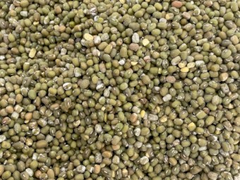 33mt Mung Bean Seed