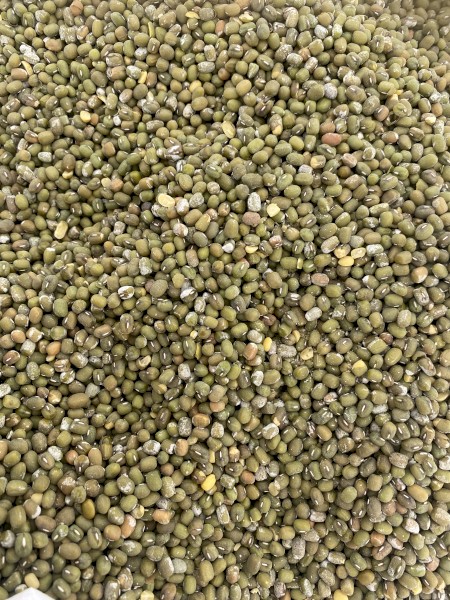 3mt Mung Bean Seed
