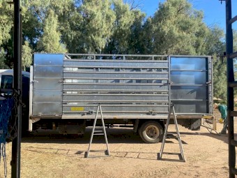 Stock / Horse Crate ono