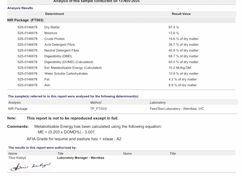 126mt Vetch/Medic Hay 8x4x3 Bales
