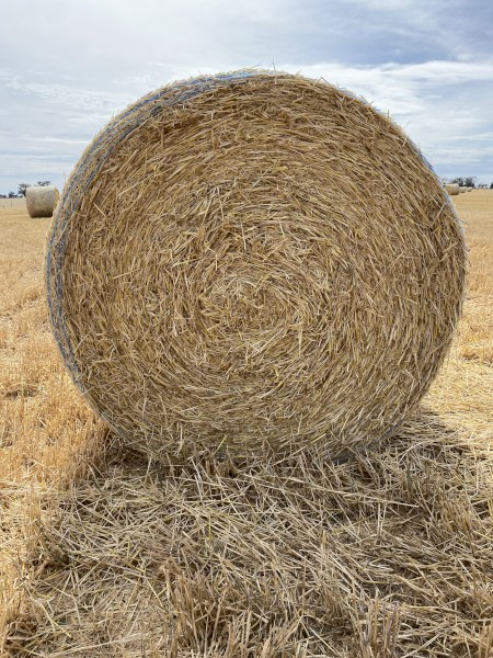 150 x Barley Straw Header Tailings 5x4 Rounds