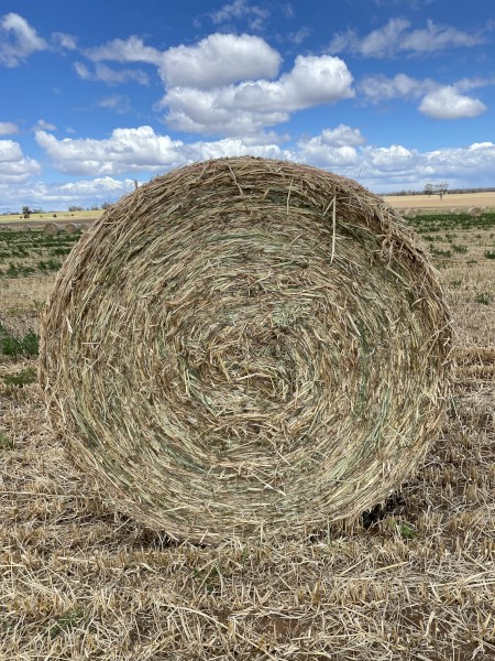 250 x Oaten Hay 5x4 Rounds