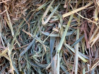 250 x Oaten Hay 5x4 Rounds