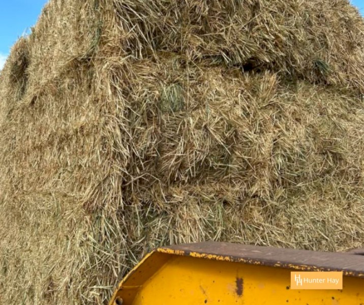 500mt Barley Hay 8x4x3 Bales