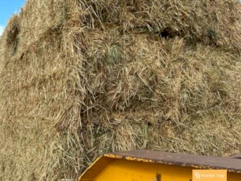 500mt Barley Hay 8x4x3 Bales