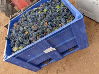 Pallet Box/ Plastic Crates