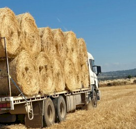 300 x Wheat Hay 5x4 Round Bales