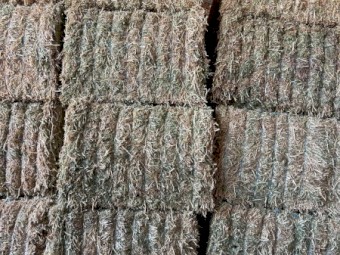 250mt Pea Hay 610kg 8x4x3 Bales