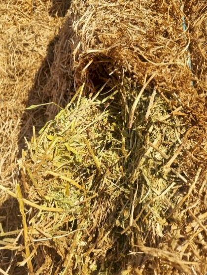 500mt Vetch Hay 8x4x3 Bales