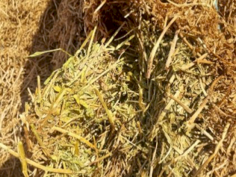 500mt Vetch Hay 8x4x3 Bales