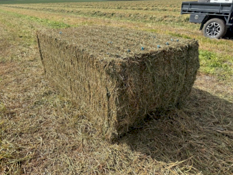 500mt Vetch Hay 650kg 8x4x3 Bales