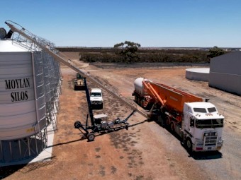 Earnshaw Ag 60' x 11" Auger