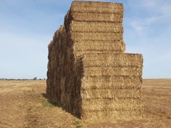 220mt Vetch Hay 8x4x3 Bales