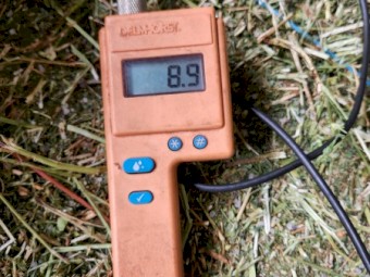 Small Squares First Cut Lucerne Hay Weed Free