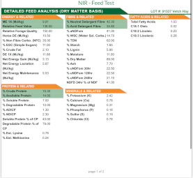 200mt Vetch Hay 8x4x3 Bales