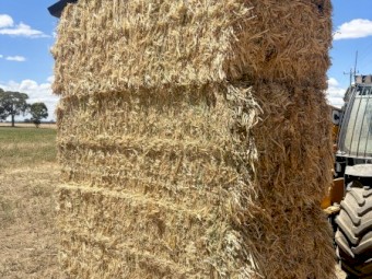 Oaten Hay