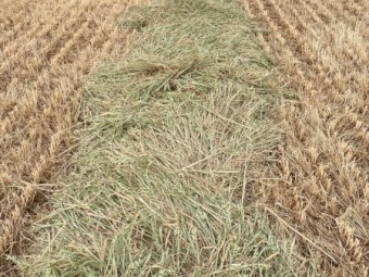 165mt Oaten Hay 570kg 8x4x3 Bales