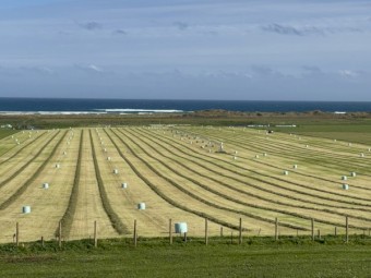 Round Baled Silage