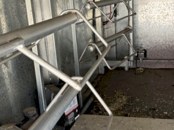 Horse and Cattle Livestock Crate