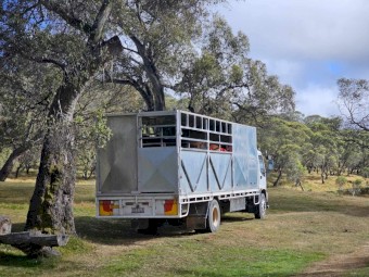 2003 Isuzu FVDOOA with Horse  and Cattle Livestock Crate