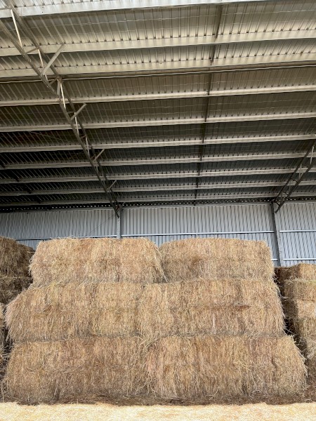 Oaten Hay 8x3x3 Big Square Bales (45 available)