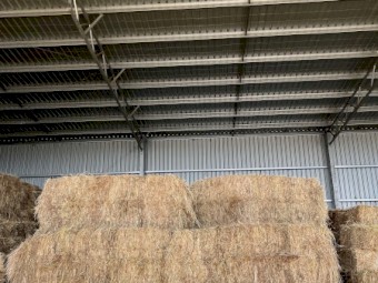 Oaten Hay 8x3x3 Big Square Bales (45 available)