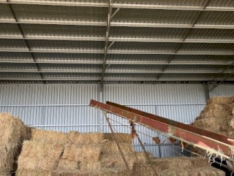 Oaten Hay Small Square Bales (1,200 available)
