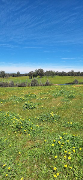 MCALINDEN FARM LEASE