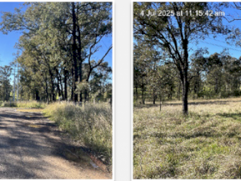 Grazing Land Available – 20ha in North-West Sydney (Riverstone)