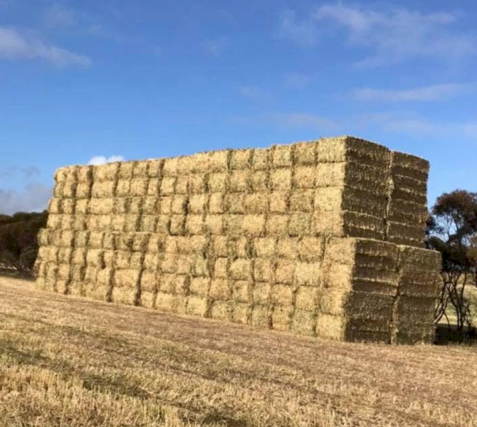 Expression of Interest on Barley Straw