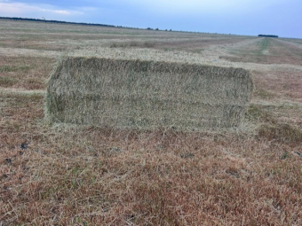 500mt Clover Rye Hay 8x4x3 Bales