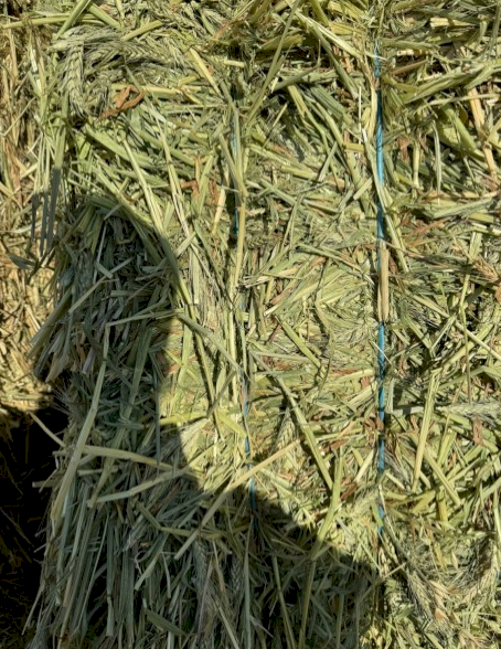 500mt Wheaten Hay 600-650kg 8x4x3 Bales