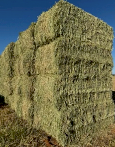 500mt Wheaten Awnless 8x4x3 Bales