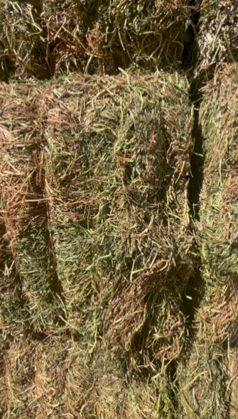 500mt Vetch Oaten Rye Mix 8x4x3 Bales