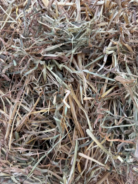 500mt Oaten Hay 550-600kg 8x4x3 Bales
