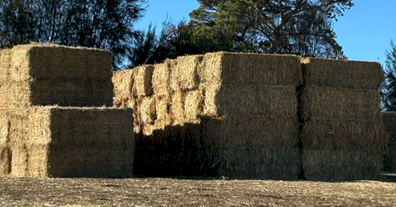 Oaten Hay (8x4x3)