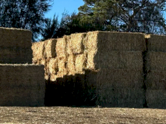 Oaten Hay (8x4x3)