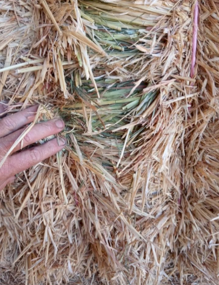 500mt Oaten Hay 8x4x3 Bales